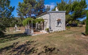 Eco House Zabodarski
